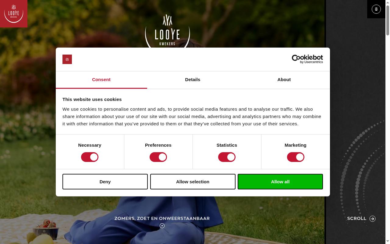 Screenshot of looye.com