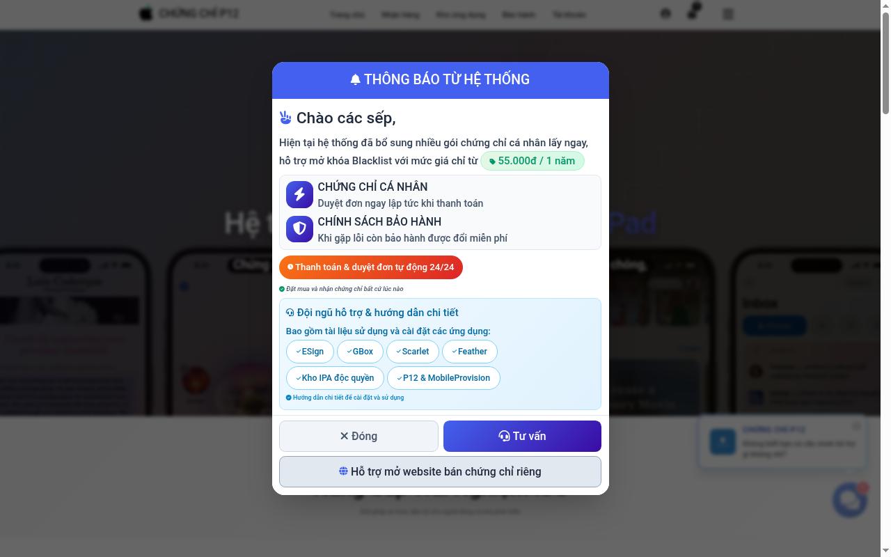 chungchip12.com screenshot